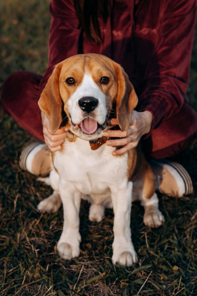 Source- Pexels
Photo by Вадим Биць