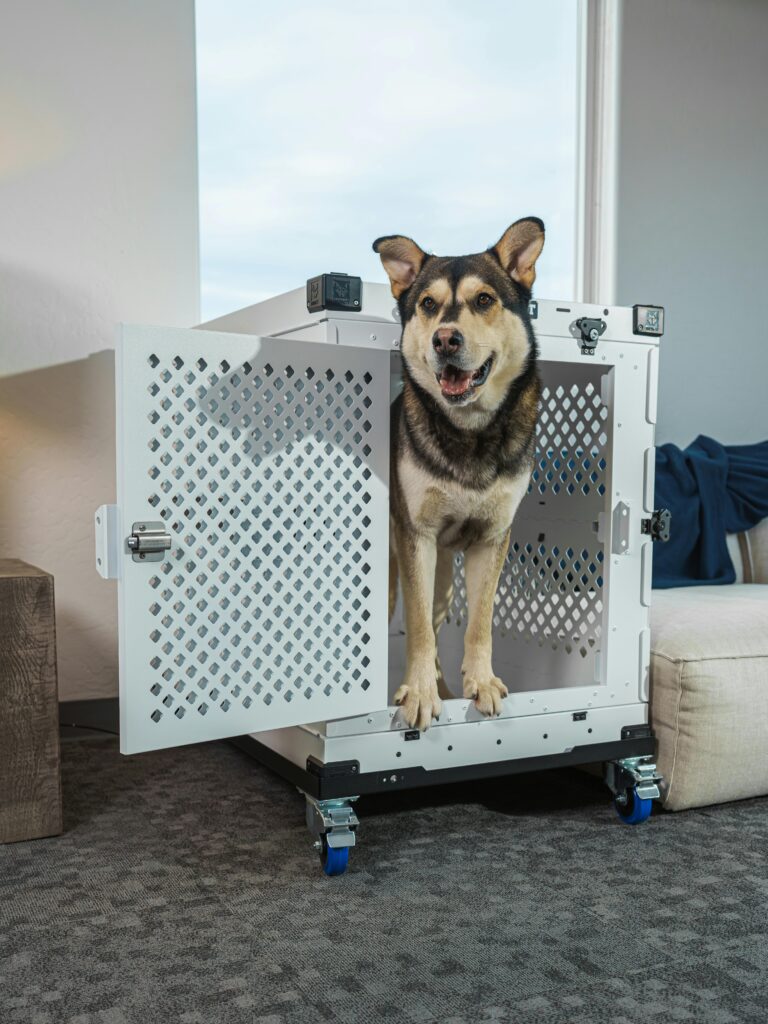 Modern home office dog crate and a dog inside crate