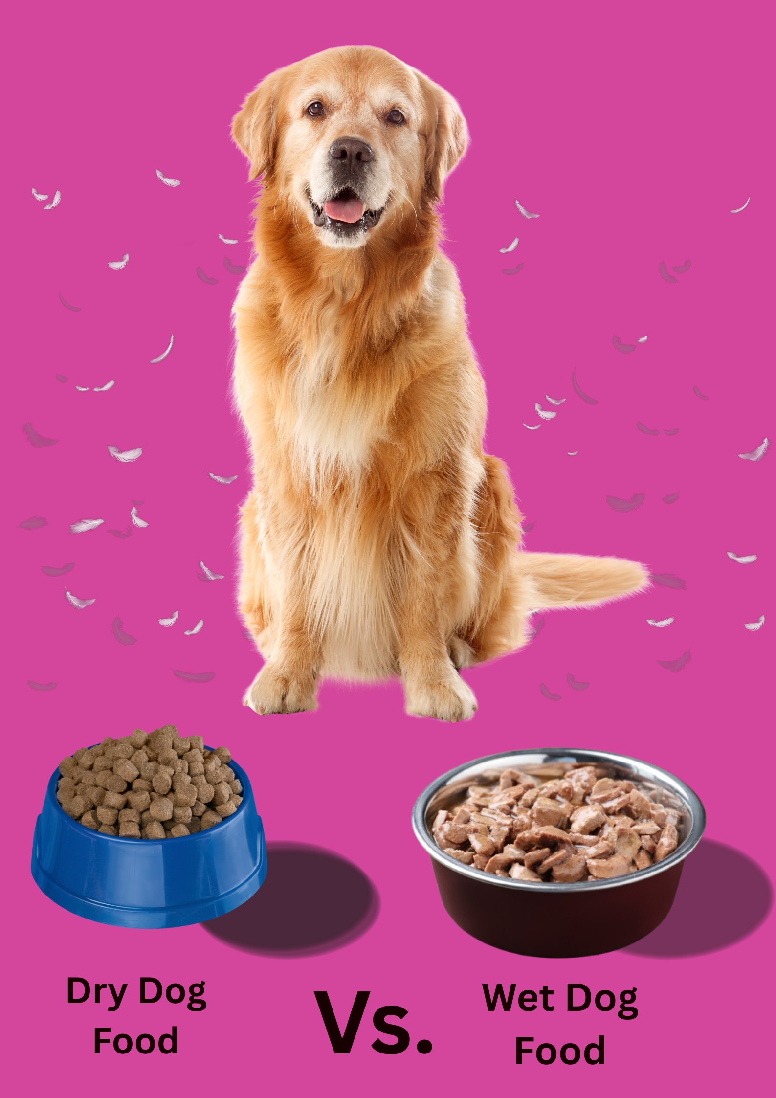 A healthy dog representing two bowls, comparing dry vs. wet dog food options.