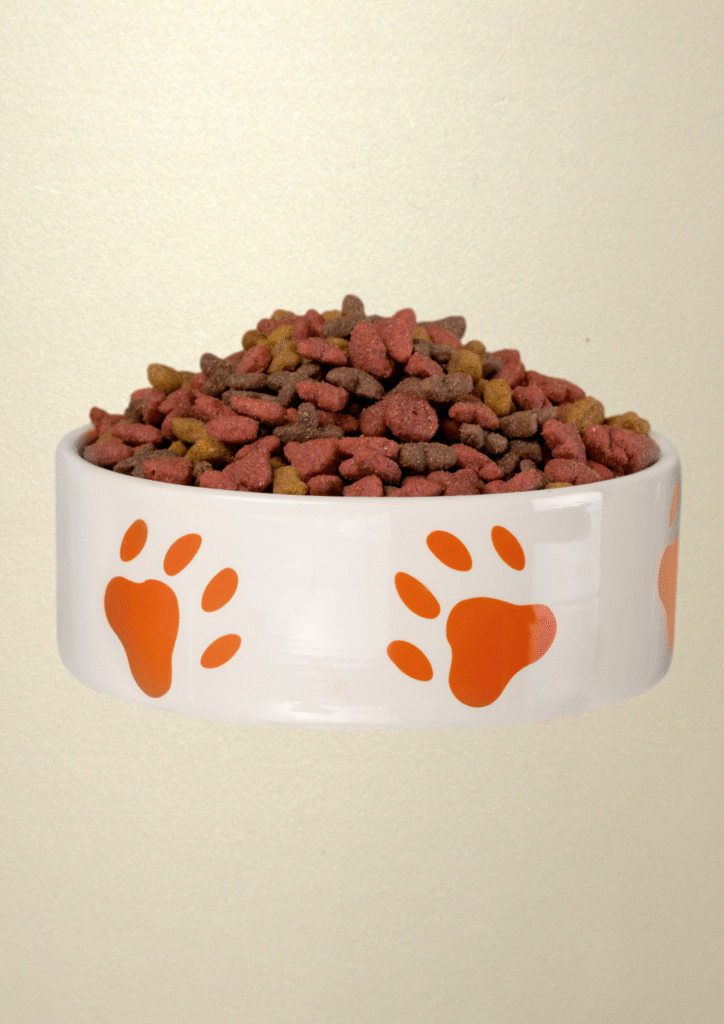 Dry Dog Food in a bowl