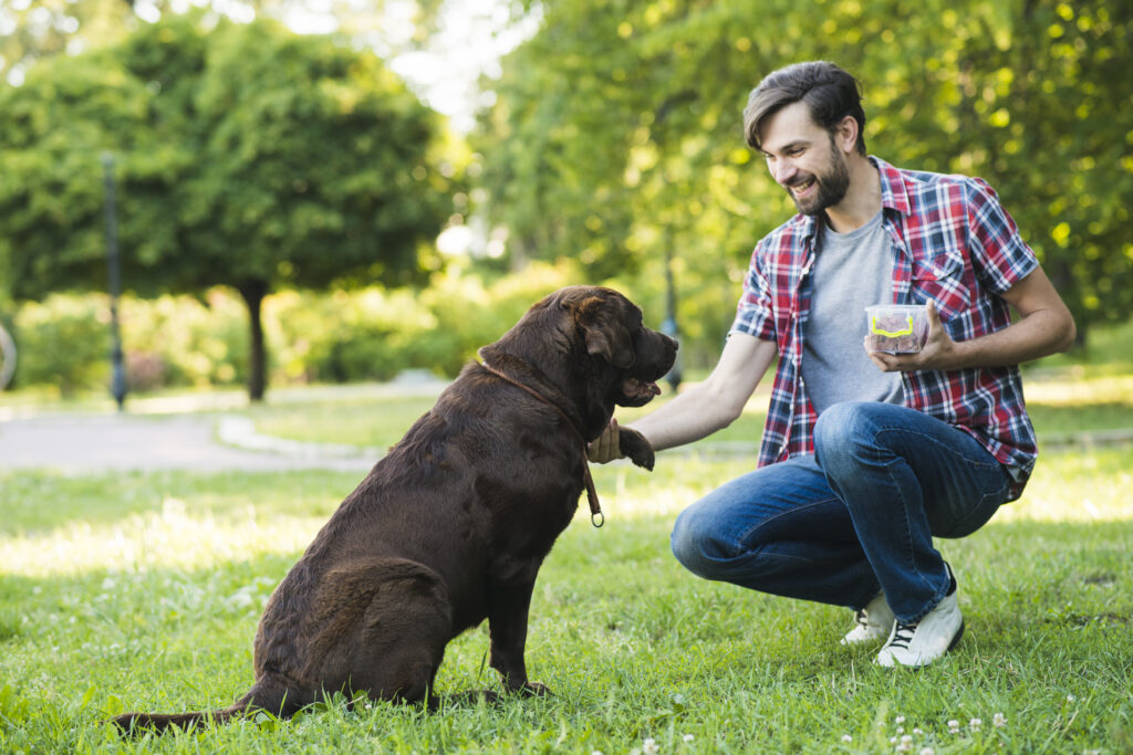 man having fun with his dog garden