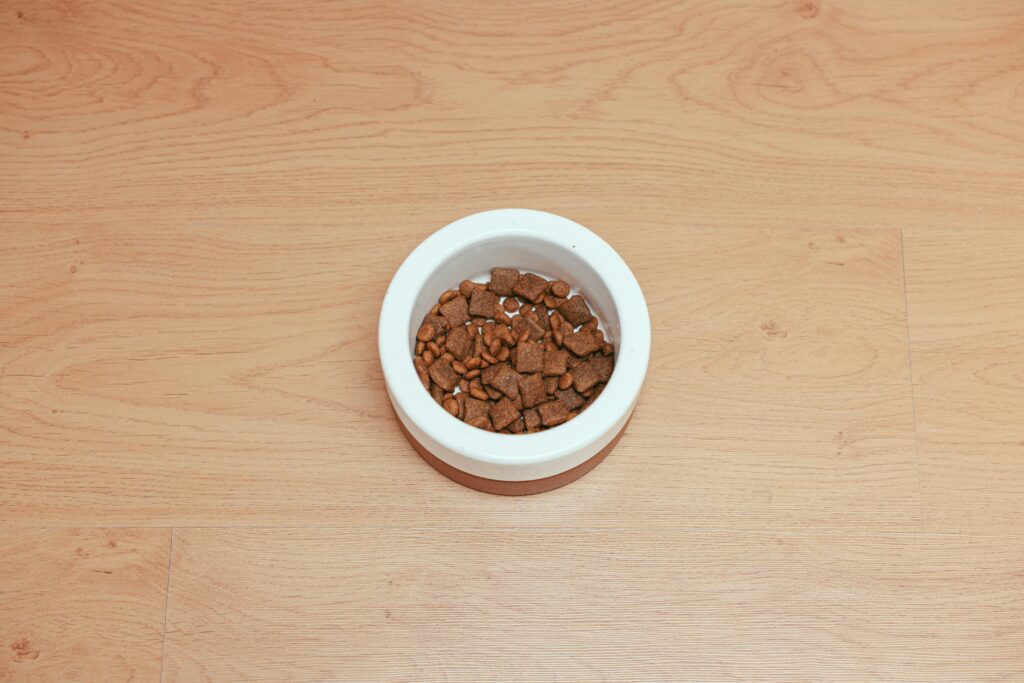 Dog food in a pet bowl on a wooden surface.