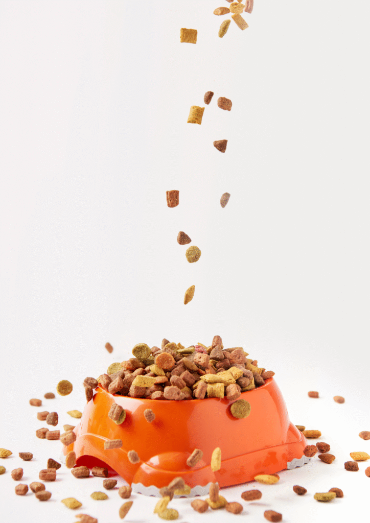 A bowl full of nuts showing concern about is it safe for a dog to eat a nut.